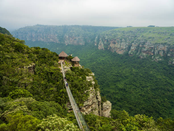 the Hanging bridge over Oribi Gorge in Lake Eland Landscape shot of the Hanging bridge over Oribi Gorge in Lake Eland Port Shepstone South Africa zululand stock pictures, royalty-free photos & images