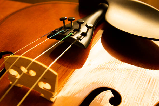 corpo del violino e archi - violin equipment classical instrument light and shadow foto e immagini stock