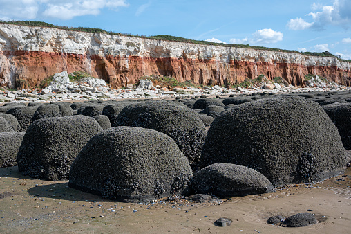Boulders, or stones arranged in straight lines covered in mussels and barnacles at Hunstanton Beach, Norfolk