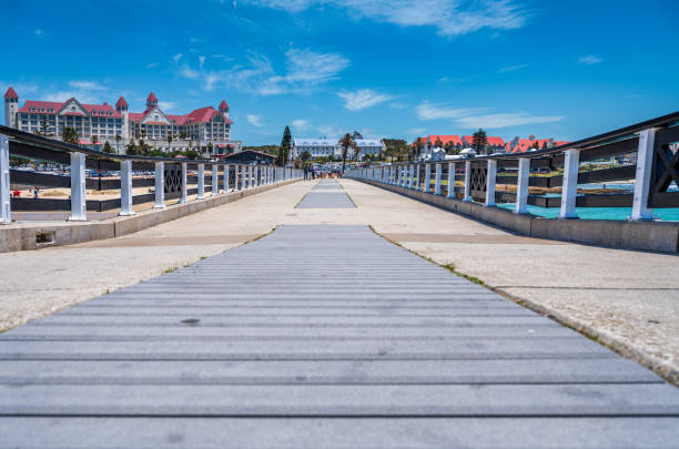 istock port elizabeth beachfront and pier on a beautiful summer day 1362079528