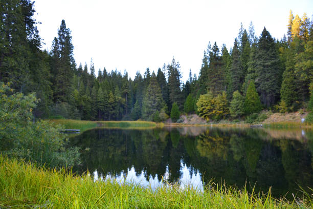 Yosemite National Park's mountains and forests, California
