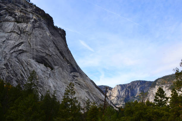 istock Yosemite National Park's mountains and forests 1362081294