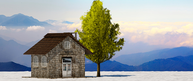 The 3d rendering tree and house in full leaf in winter  against sky