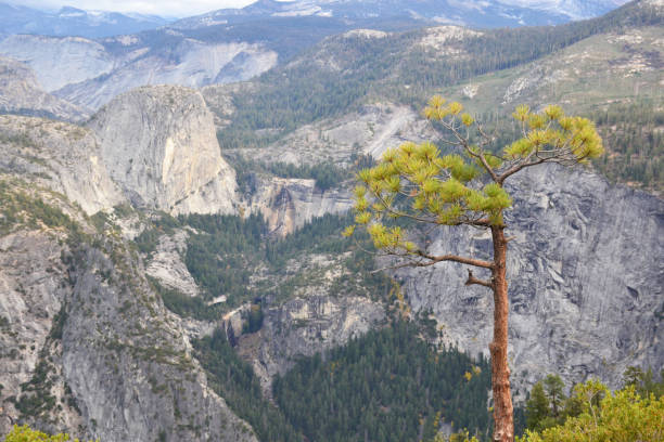 istock Glacier Point at Yosemite National Park 1362082056