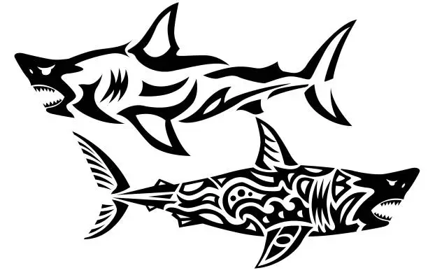 Vector illustration of white shark