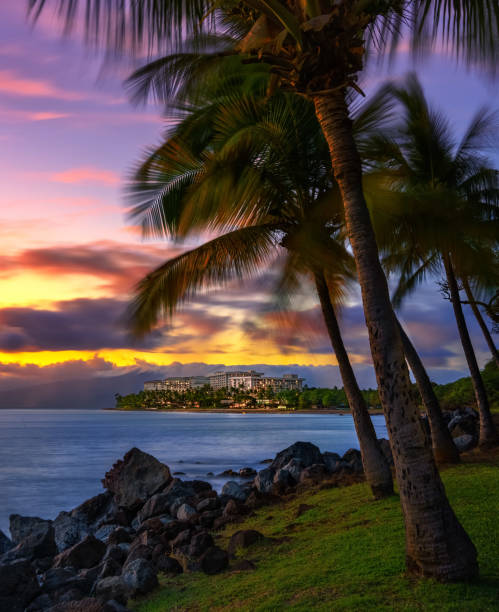 istock Hawaii resort with palm trees and mountains 1362087452