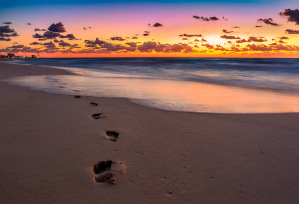 istock footsteps in sand at beach during sunset 1362087463