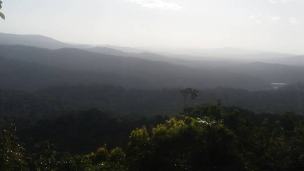 istock Overlooking the Rain Forest 1362087495