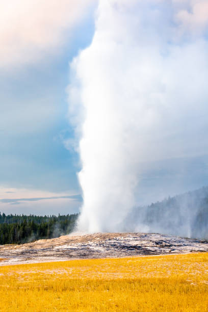 velho gêiser fiel na altura máxima de erupção. - reliability old old faithful famous place - fotografias e filmes do acervo