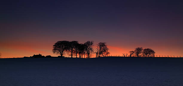istock Silhouette trees and house on snowy field 136209933