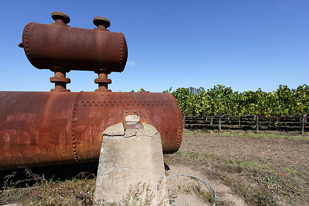 istock Napa Valley in California, USA 136210016