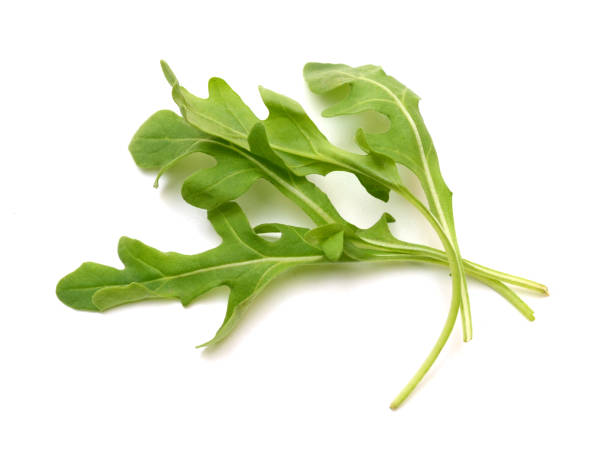 istock Baby arugula salad leaves 1362102649