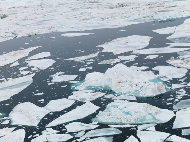 istock aerial view of glaciers floating on arctic ocean 1362105208