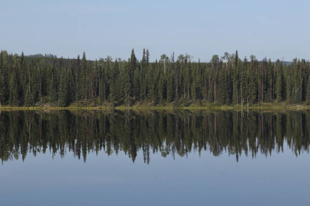istock Reflections on Herkyelthtie Lake near Quesnel, British Columbia 1362107517