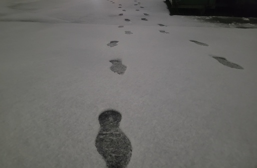 2 pair of of footprints walking together in fresh snow