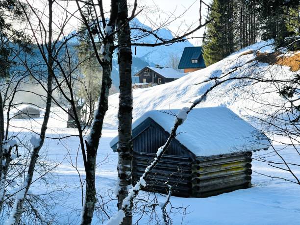 istock Winter wonderland 1362108186