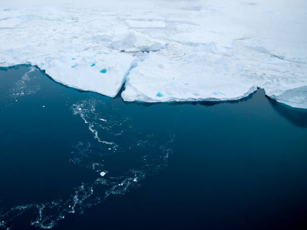 luftaufnahme von gletschern, die auf dem arktischen ozean schwimmen - südpolarmeer stock-fotos und bilder