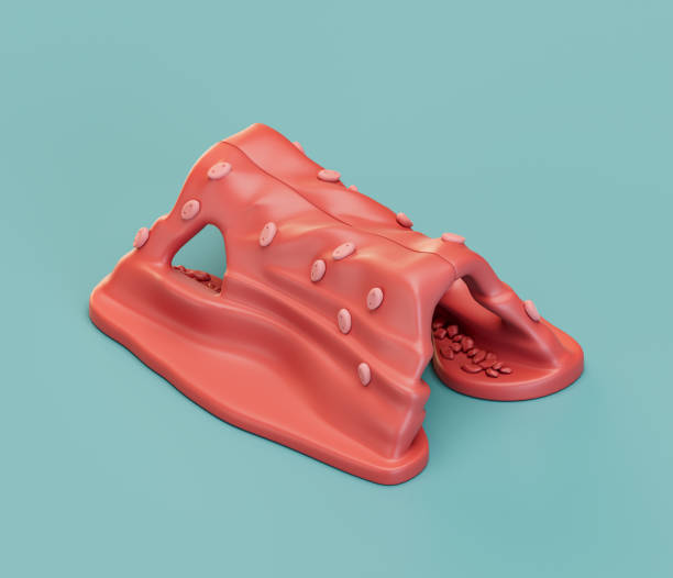 istock Climbing cave with tunnel for kids. Isometric red color playground object for physical and mental development of children. Monochrome single color, 3d rendering 1362114251