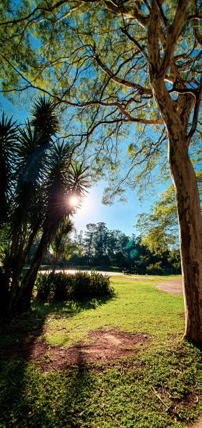 istock The Park of Povo 1362122509