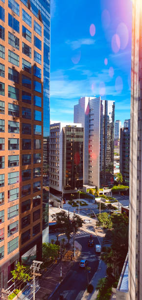 istock Vila Olimpia Buildings 1362122523