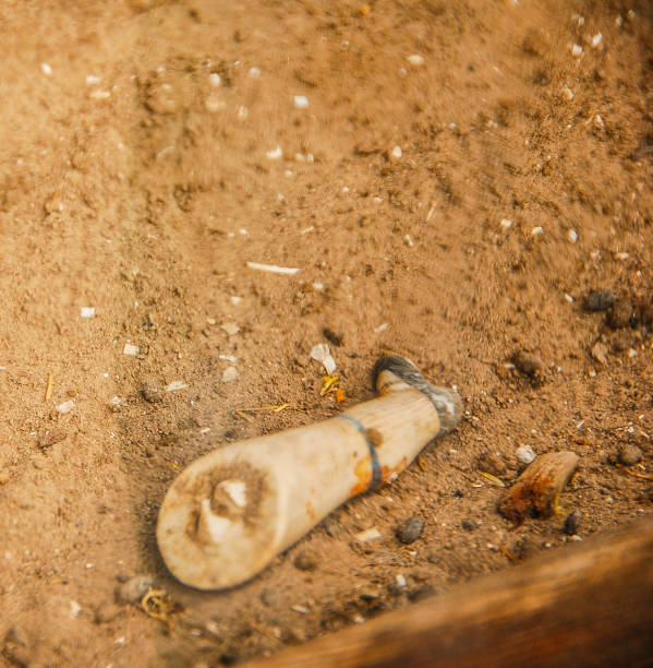 istock Porcelain Doll Leg Bodie State Historic Park 1362122797