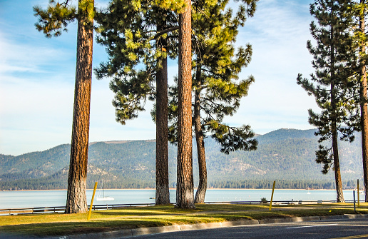The trees alongside Lake Tahoe add to the beauty of this vacation destination.