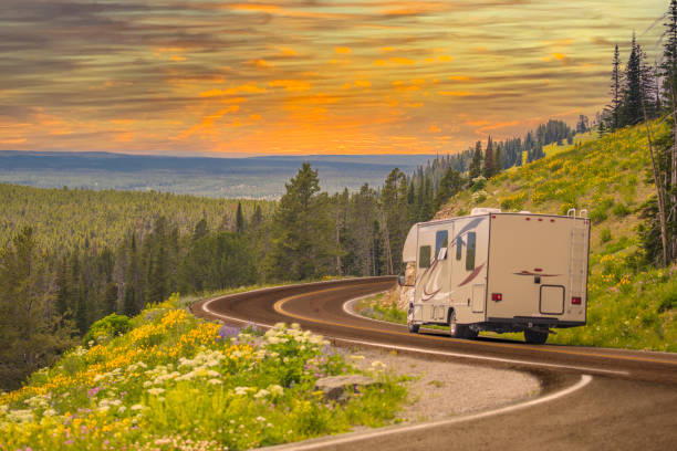 Camper Driving Down Road in The Beautiful Countryside Among Pine Trees and Flowers. stock photo