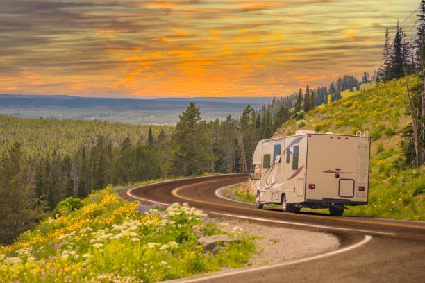 Camper Driving Down Road in The Beautiful Countryside Among Pine Trees and Flowers. Camper Driving Down Road in The Beautiful Countryside Among Pine Trees and Flowers. camper trailer stock pictures, royalty-free photos & images