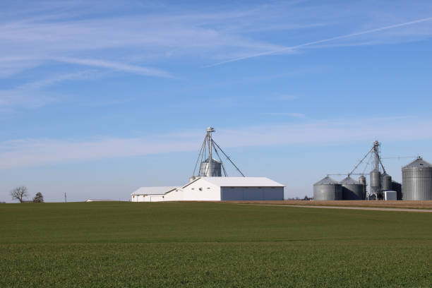istock Agriculture in Ohio, USA - random barn and silos 1362130949