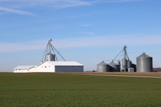 istock Agriculture in Ohio, USA - random barn and silos 1362130953