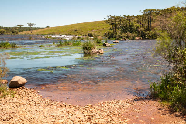 istock Tainhas River with rocks and vegetation around 1362131575