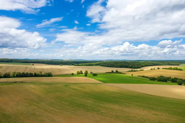 This landscape photo was taken in Europe, France, Burgundy, Nievre, summer. We see the magnificent French Countryside and its fields of yellow and green ble, under the Sun.