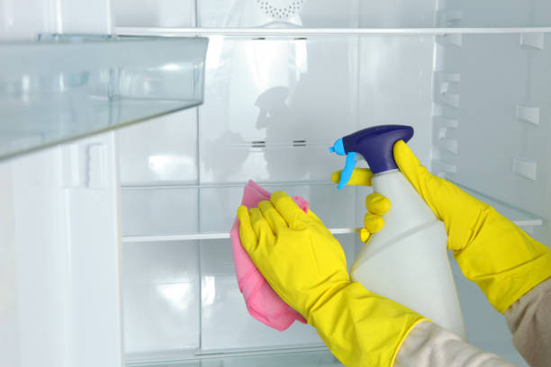istock A woman washes the refrigerator with disinfectants close-up. 1362136456