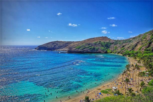 splendido scenario in una baia di oahu, hawaii - hanauma bay hawaii islands oahu bay foto e immagini stock