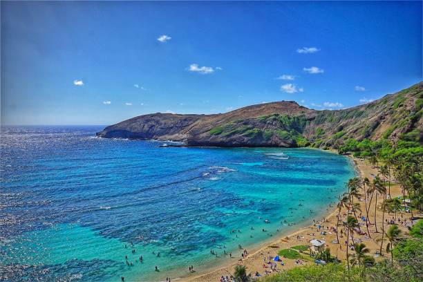belas paisagens em uma baía em oahu, havaí - hanauma bay hawaii islands oahu bay - fotografias e filmes do acervo