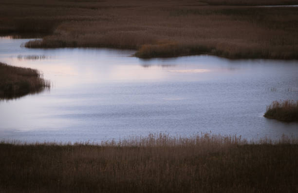 morning landscape with steppen lake