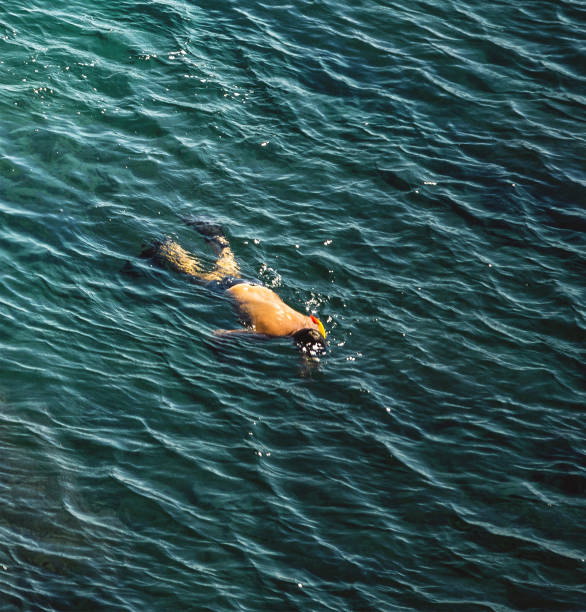 istock above view of sea snorkeler 1362140055