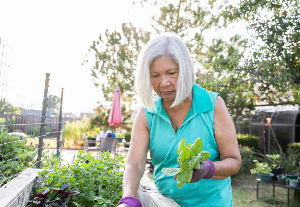 istock Senior Woman gardening 1362142178