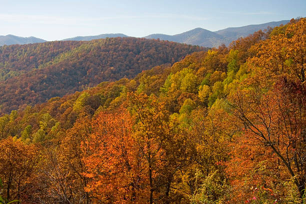 istock BLUE RIDGE PARKWAY OVERLOOK 136214240