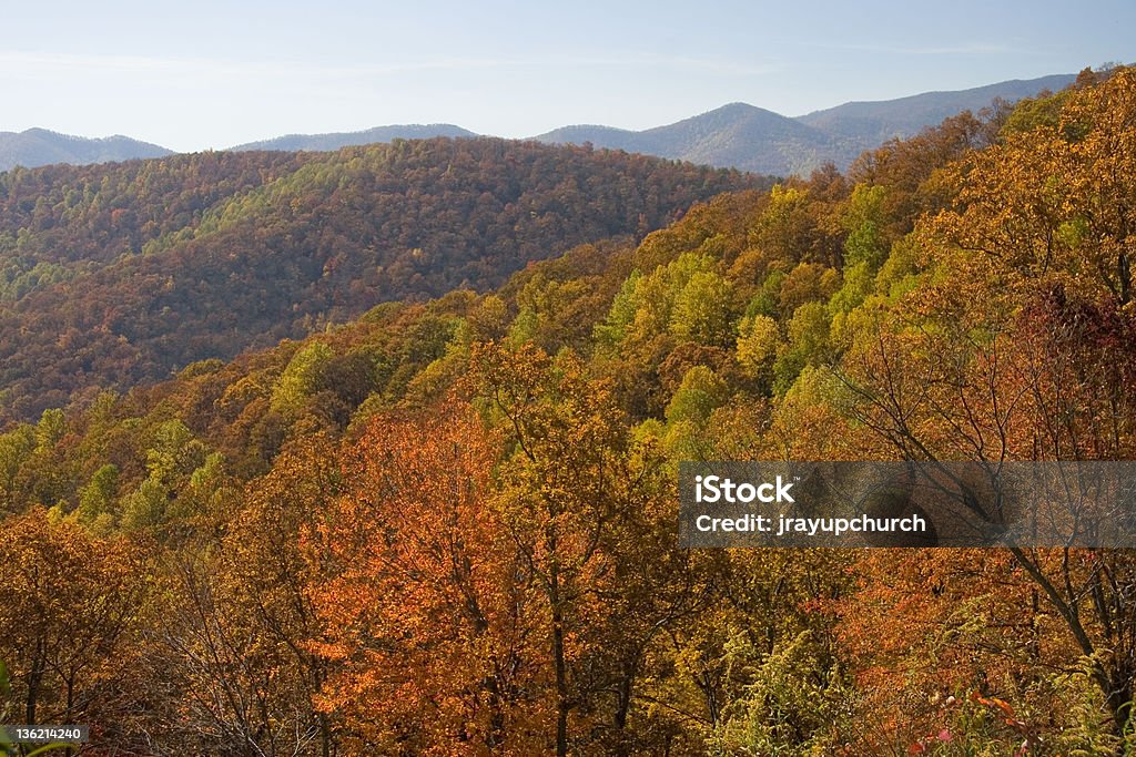 BLUE RIDGE PARKWAY, VISTA PARA - Foto de stock de Appalachia royalty-free