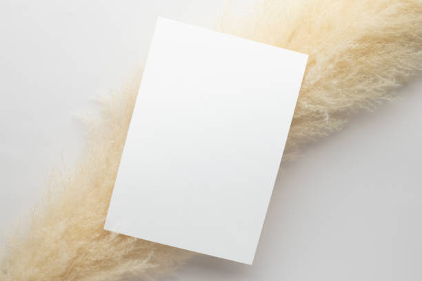 istock White invitation card mockup with a pampas grass on grey background, Minimal grey workplace composition, flat lay, mockup 1362146867