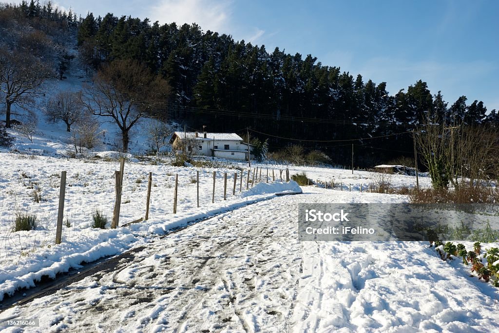 Granja de invierno - Foto de stock de Aire libre libre de derechos