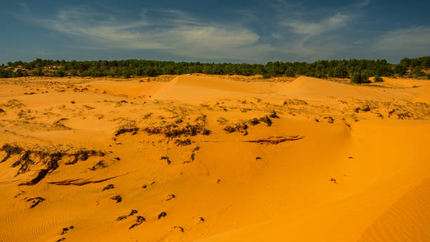 istock Red Sand Dunes, Mui Ne, Vietnam. 1362170327