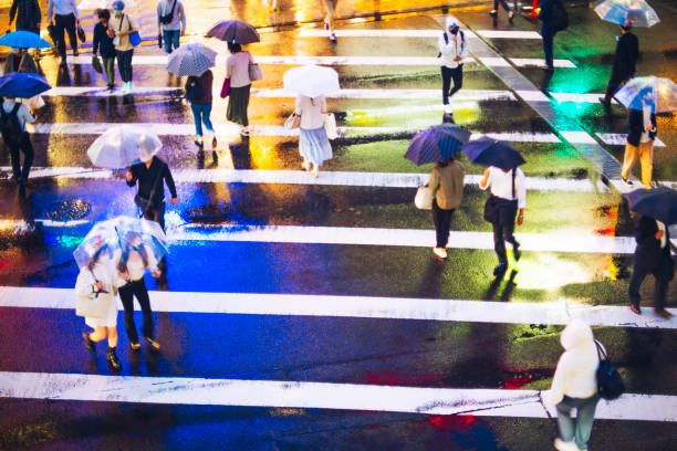 istock People holding umbrellas and pedestrian crossings 1362170380