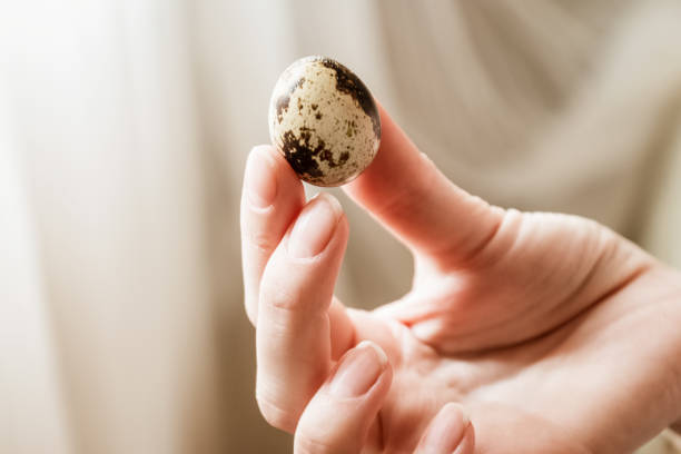 Woman holds small spotted egg in her hand, close up