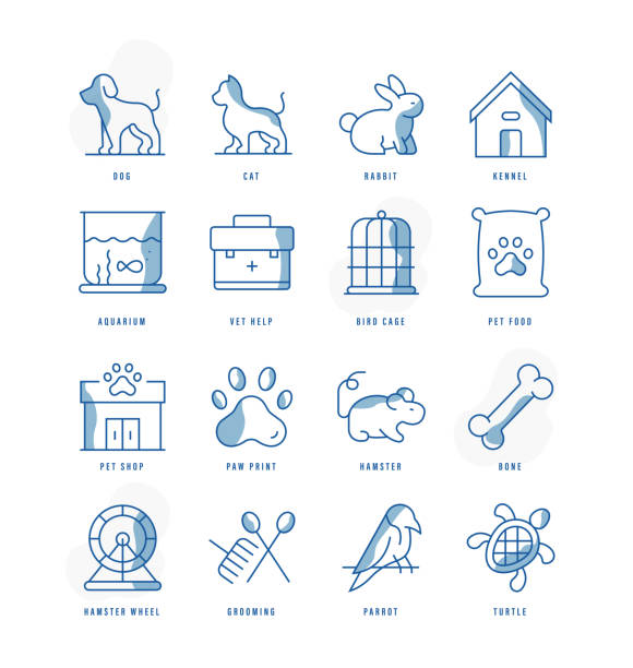 페트 아이콘 - pet grooming stock illustrations