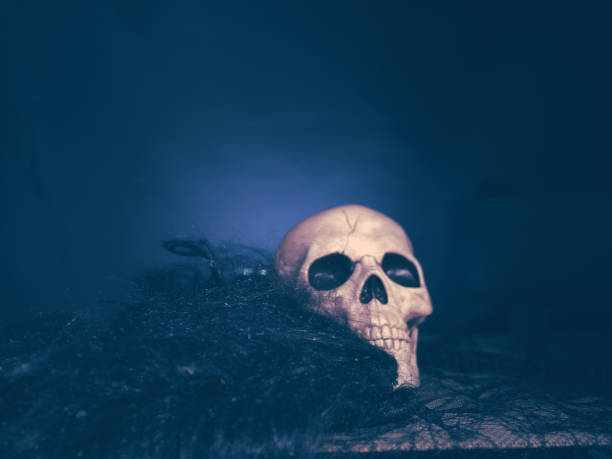 Skull on dark background with black hair medium shot