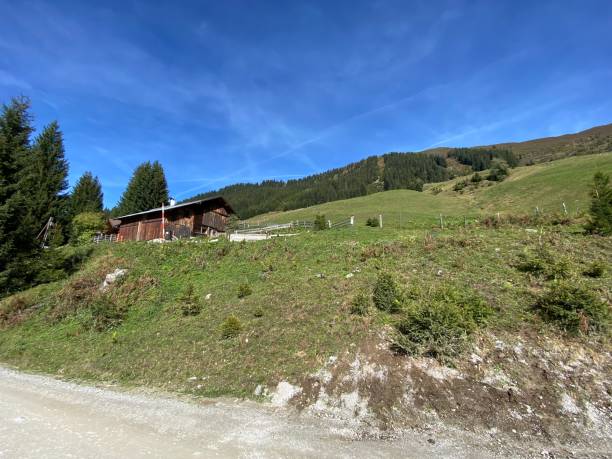 loassattel pillberg loas hochfügen in the zillertal in the schwaz district by mountain bike - cycling european alps mountain bike zillertal imagens e fotografias de stock