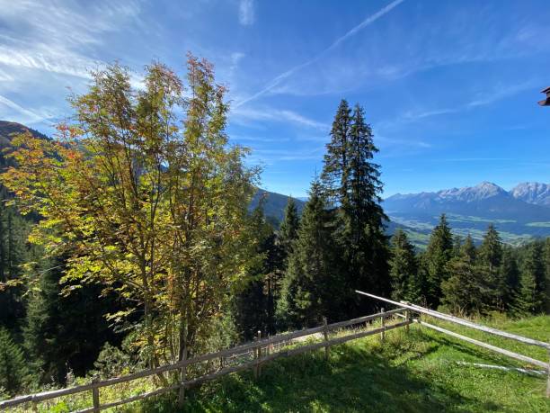 loassattel pillberg loas hochfügen in the zillertal in the schwaz district by mountain bike - cycling european alps mountain bike zillertal imagens e fotografias de stock