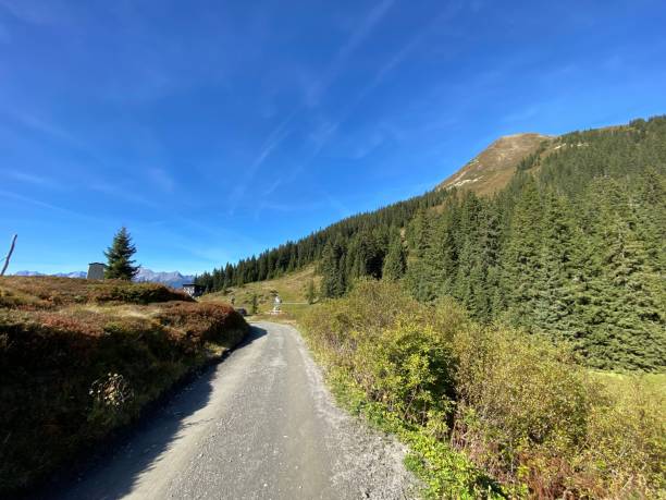 loassattel pillberg loas hochfügen in the zillertal in the schwaz district by mountain bike - downhill to fügen - cycling european alps mountain bike zillertal imagens e fotografias de stock